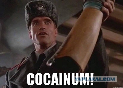 Ты же художник... Можешь нарисовать мой портрет?