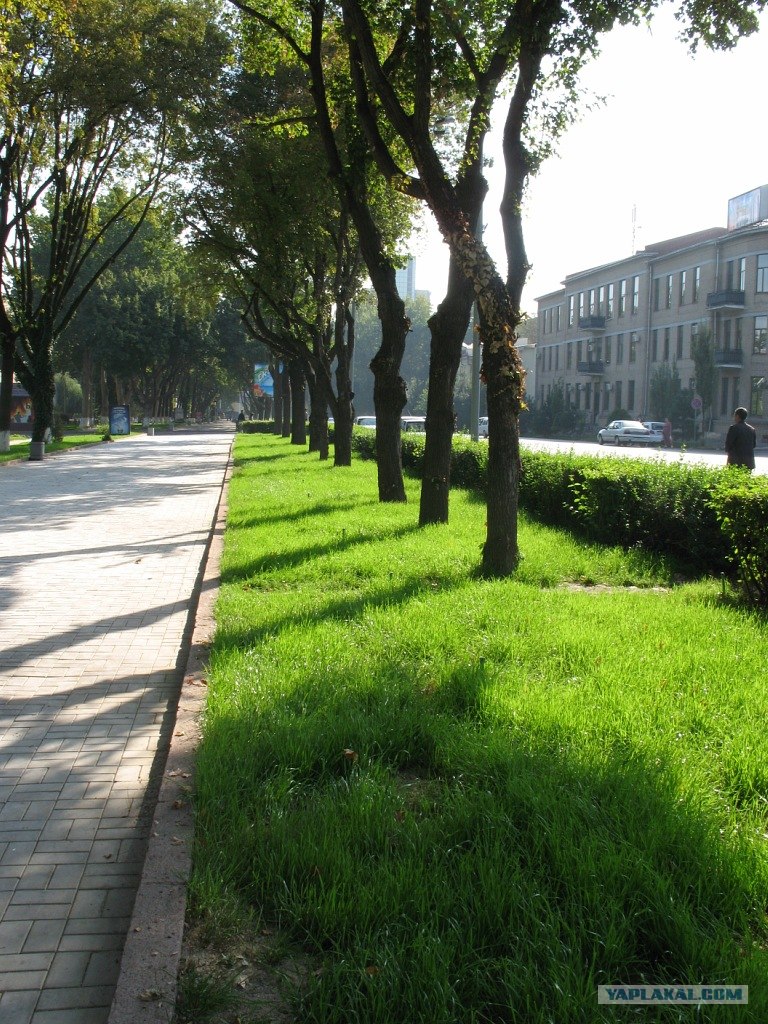 Чистые улицы города. Чистые улицы города. Чистая улица. На улице. Чистые улицы города.