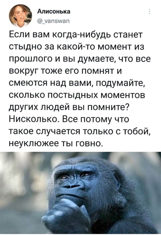 Весёлый полтишок 08.06.2022