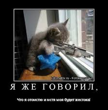 А как же я!? Малыш! Ведь я же лучше! Лучше собаки!