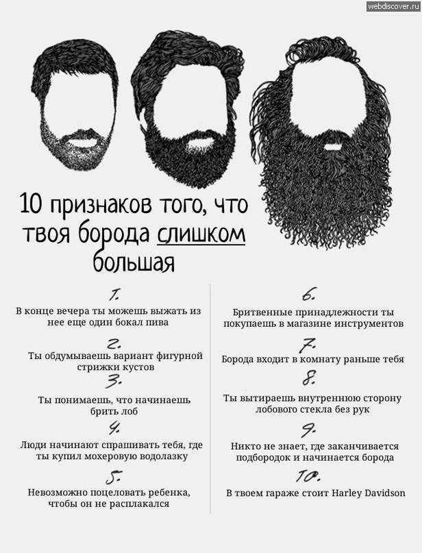 График привлекательности бороды