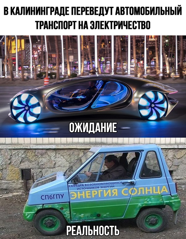 Весёлый полтишок 12.11.23