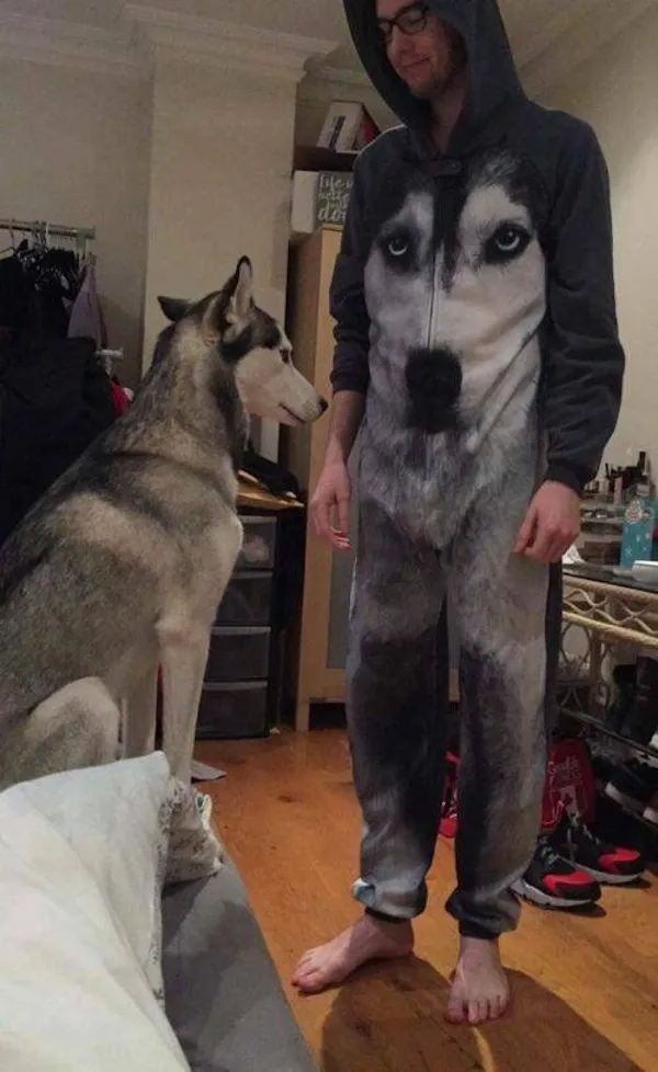 ФотоВинегрет