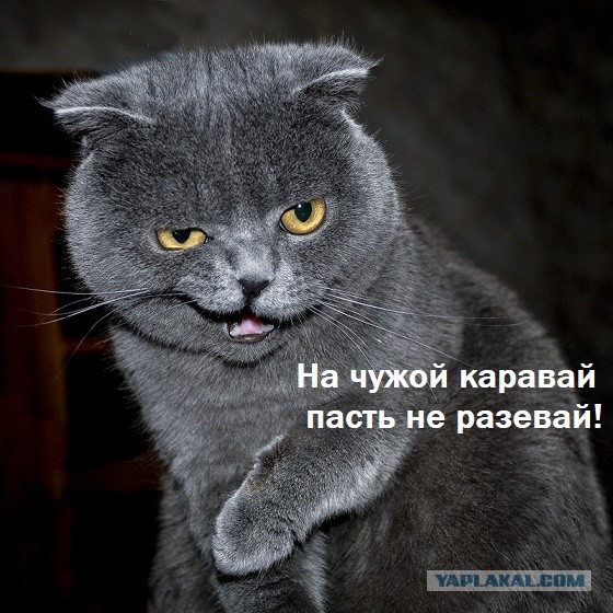 У ужаса есть лицо.