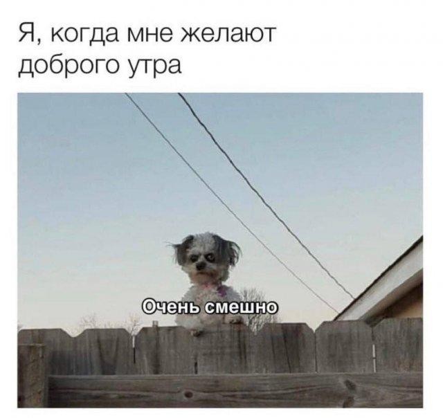 Завалялось тут случайно немного забавных картинок
