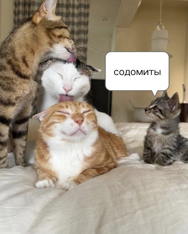 Трёхэтажный лизь