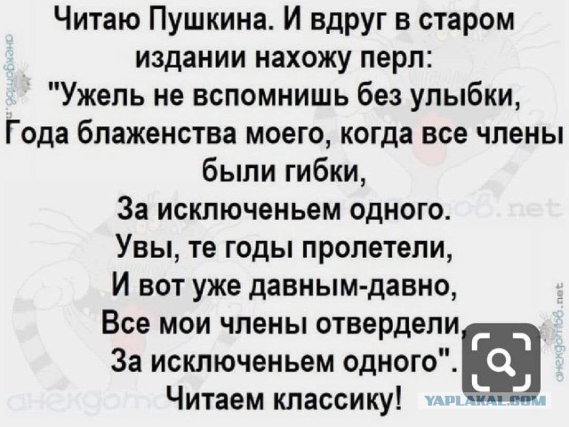 Завалялось тут случайно немного забавных картинок