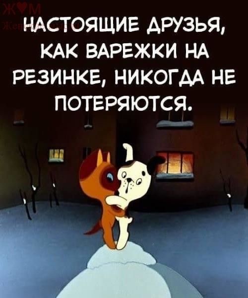 Прикольные и просто красивые картинки 01.08.2025