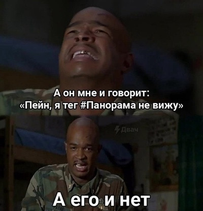 Депутаты потребовали запретить россиянам заводить больше животных, чем детей