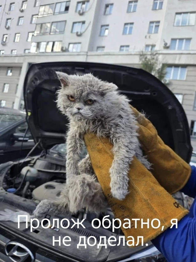 А я вас просил?