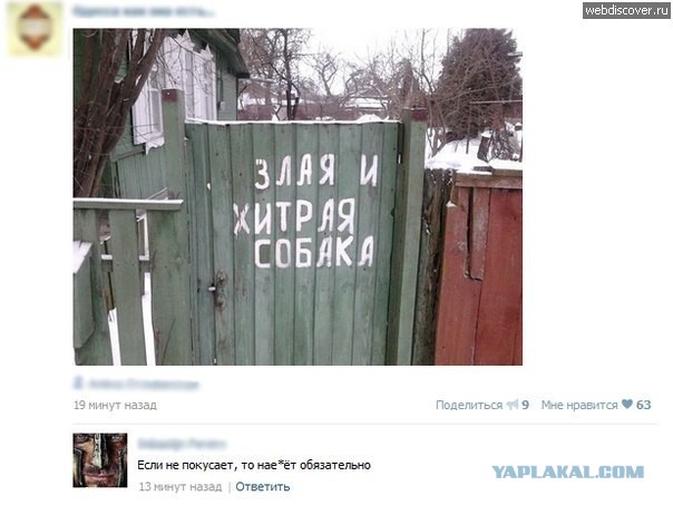 Смешные комментарии из социальных сетей