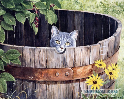 Коты ученых