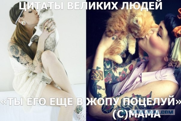 Просто убивают псевдоцитаты