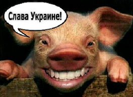 На Украине из хранилища Нацбанка пропало золото