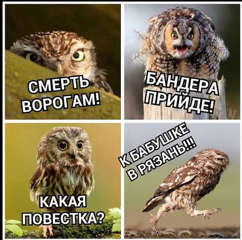 Вся суть укропов