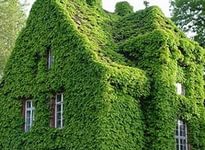 Прудик на участке перед домом