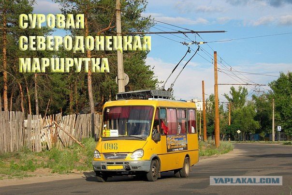 Перемирие кончилось, едва начавшись. Часть 11