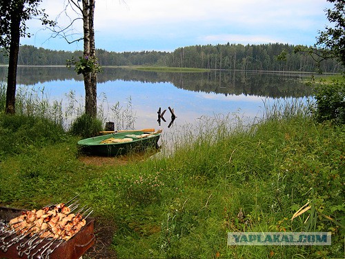 В Тунисе террористы напали на отели. Уже 19 жертв