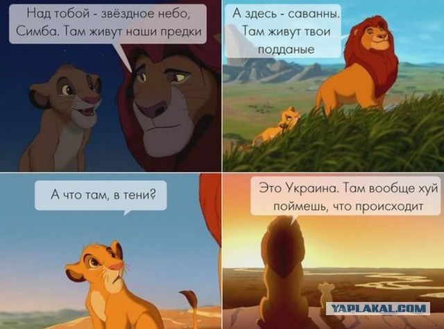 "Мостик, не болей!"