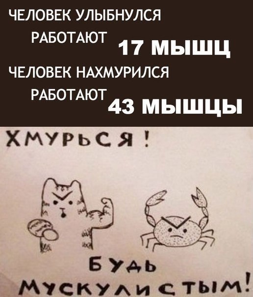 Подборка демотиваторов и картинок