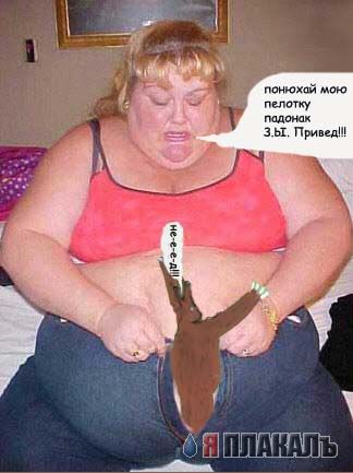 Превед медвед!