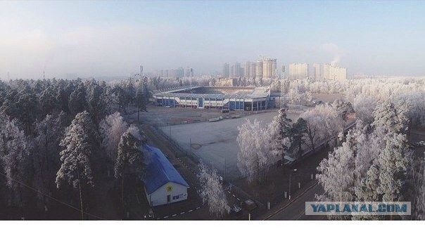 Я узнал, что у меня есть огромная семья