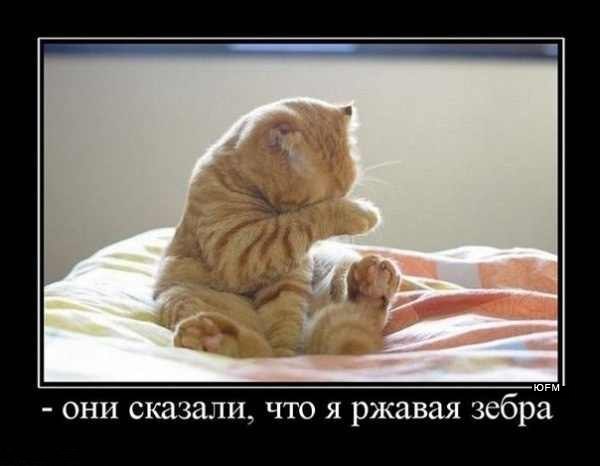 Мохнатые беспредельщики