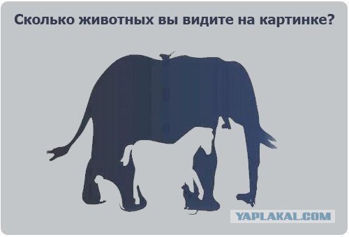 Картинки для поднятия настроения - 4