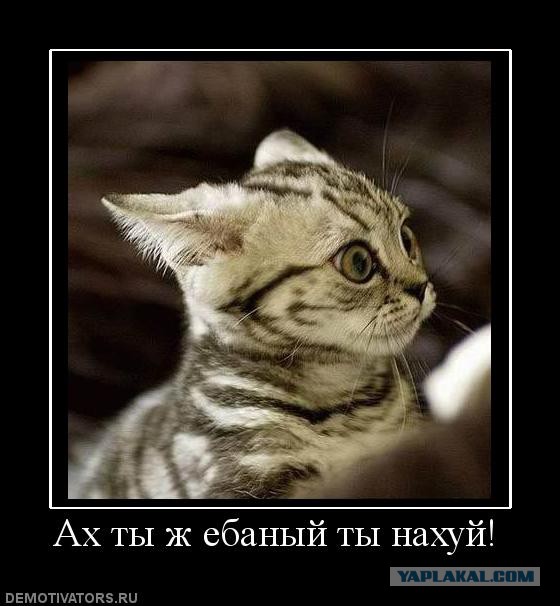 Принцессы Диснея