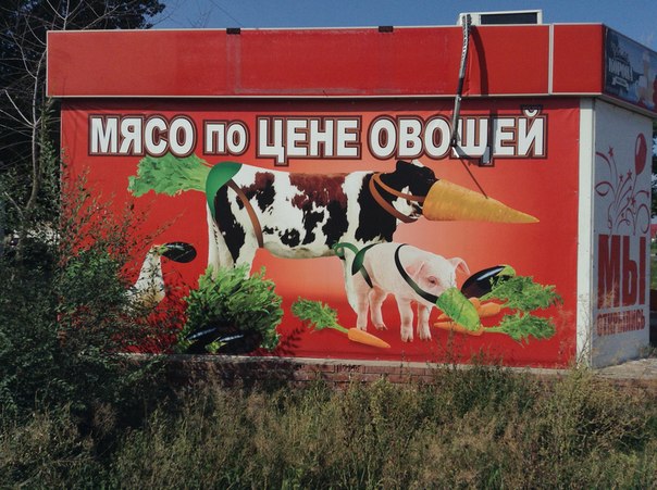 Ужасы и приколы из соцсетей 18+