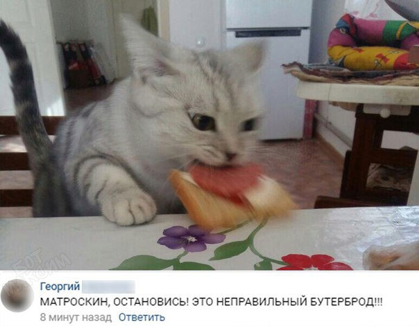 Записки сумасшедшего школьника