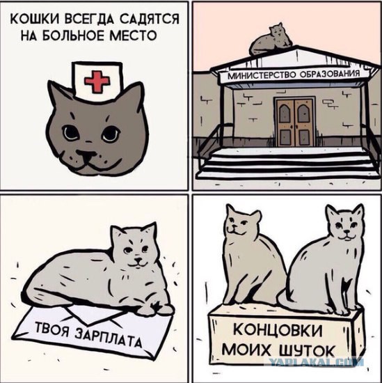 Приколы на любые темы