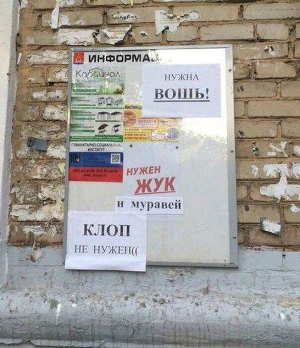 Удивительные снимки с российских просторов