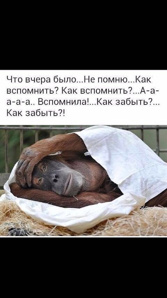 Работа не волк, но картинки сами себя не посмотрят!