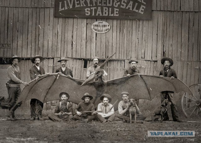 Наркоманских анекдотов с картинками