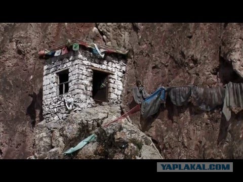 Люди-загадки: самые известные отшельники последних лет и их судьбы