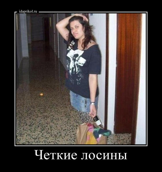 Улов из социальных сетей - Леопарды