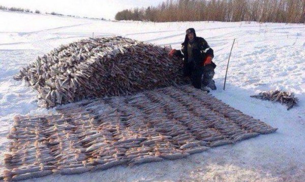 Картинки по-приколу