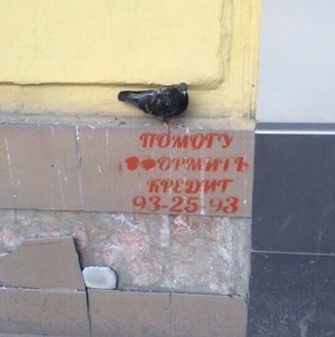 Прикольные надписи и объявления