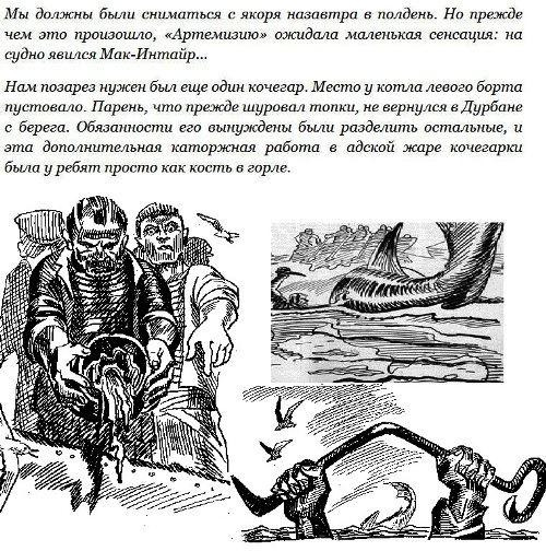 Зачем акуле-молот на голове этот самый молот?