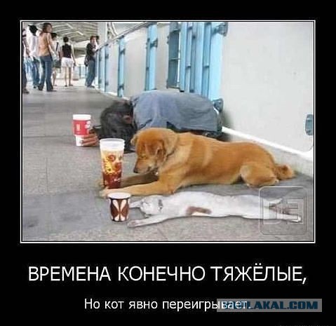 Давным-давно такое называлось ДЕМОТИВАТОРЫ