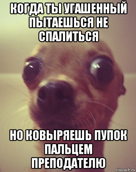 Анекдоты, истории и картинки с надписями