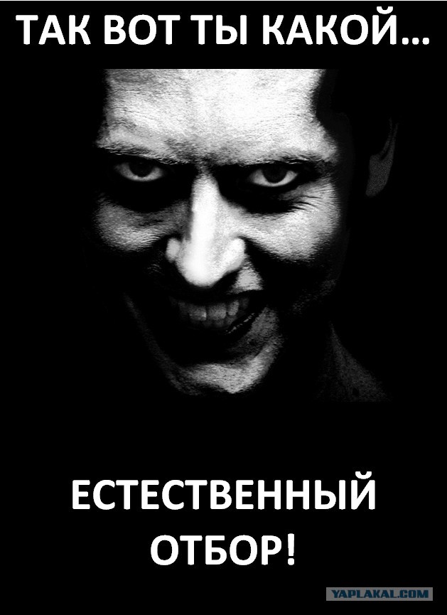 Сиганул. Не засцал
