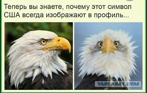 А на самом деле,  кто изображён на нашем гербе?