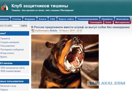 Что делать, если шумные компании не дают ночью уснуть
