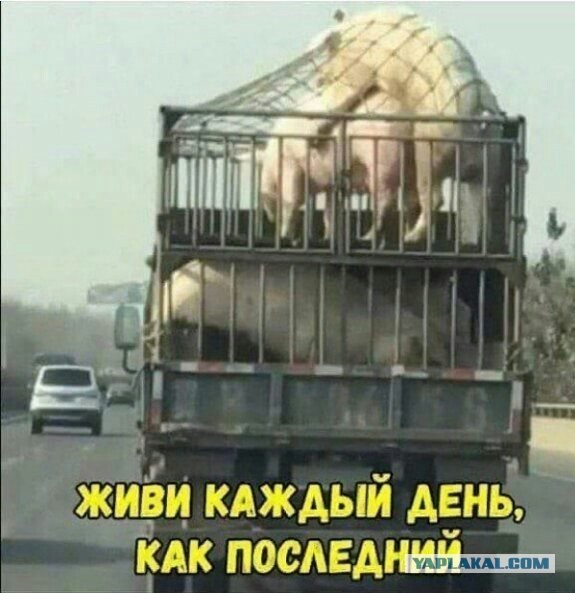 Подборка так себе картинок