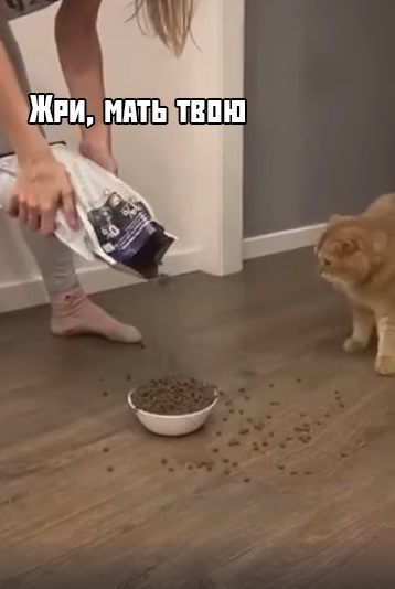 С ума сошла, что-ли?!
