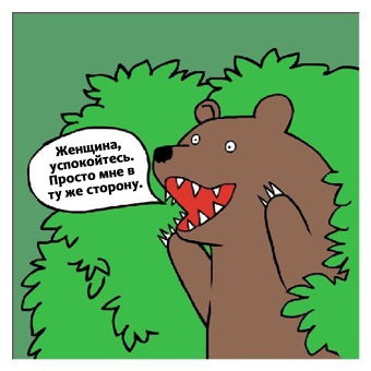 Лосиха защищает детёнышей от медведя