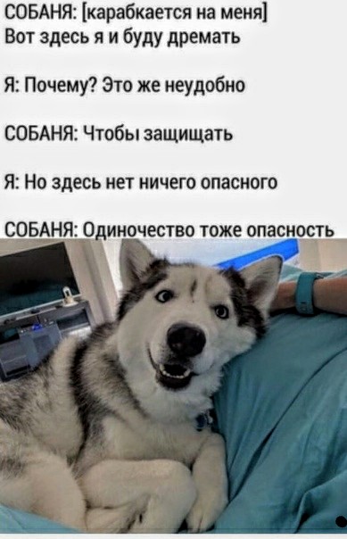 Немного картинок для настроения 20.06.20