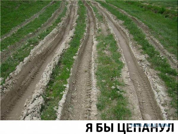 Фотожаба: А ты?